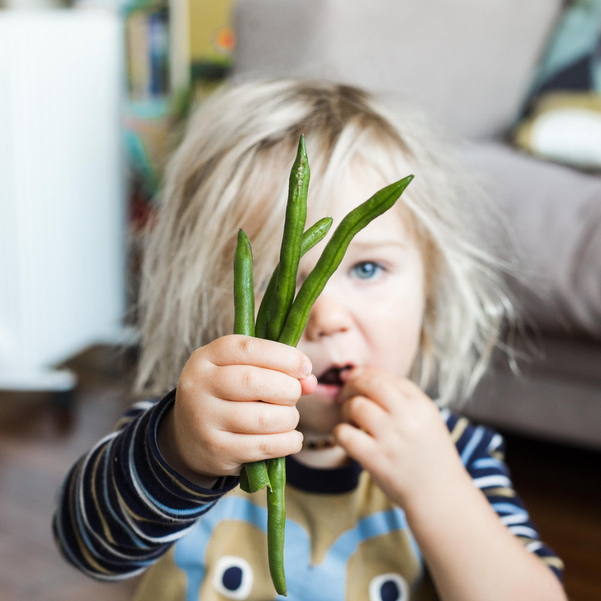 Love Your Guts with Functional Nutritionist Alicia Stanhope