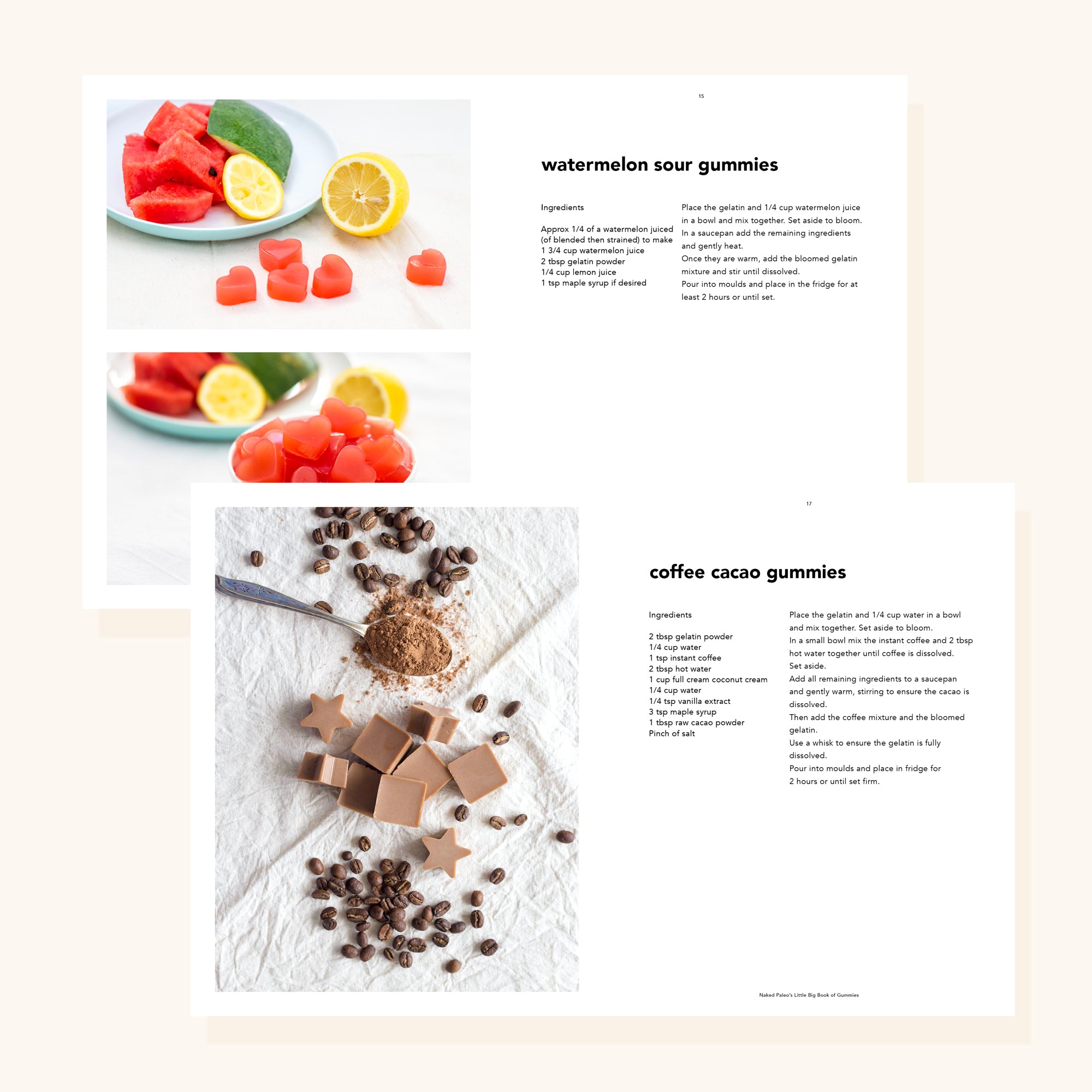 Naked Paleo Little Big Book of Gummies eBook Gelatin Recipe Cookbook Healthy Treats for Kids Snacks